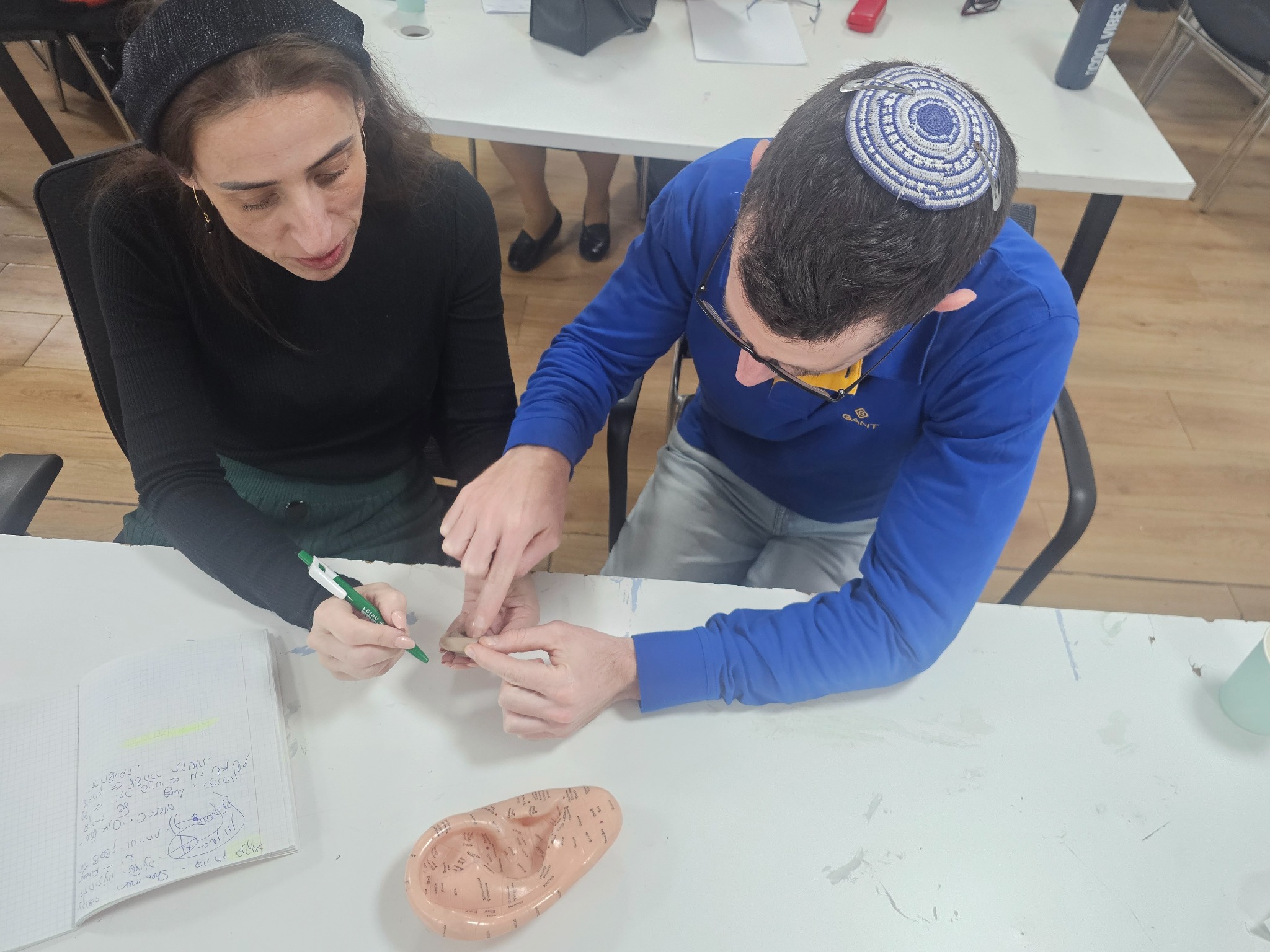 תרגול עם מודל של אפרכסת האוזן