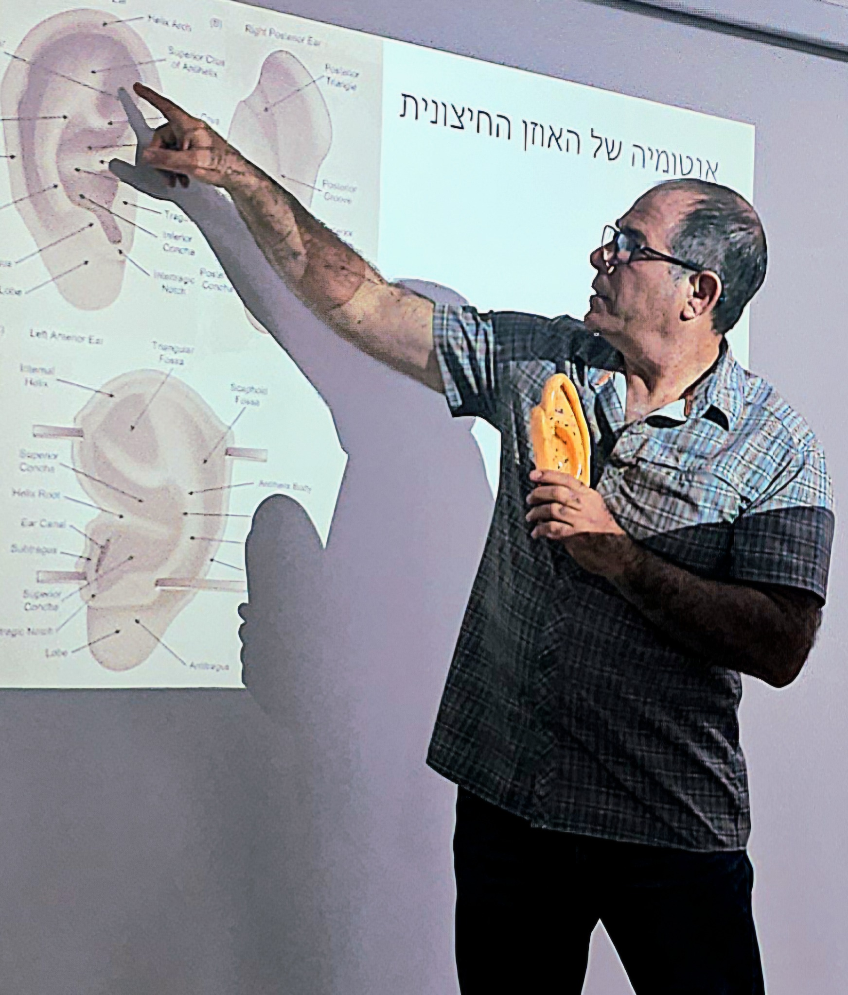 יותם אלף מלמד את האנטומיה של האוזן בעזרת דגם ותרשים